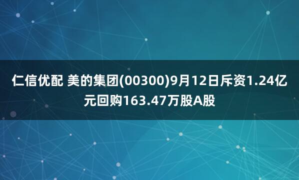 仁信优配 美的集团(00300)9月12日斥资1.24亿元回购163.47万股A股