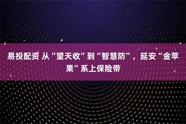 易投配资 从“望天收”到“智慧防”，延安“金苹果”系上保险带