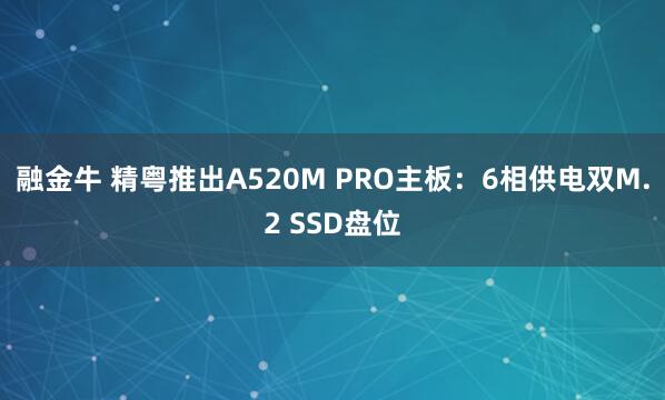 融金牛 精粤推出A520M PRO主板：6相供电双M.2 SSD盘位