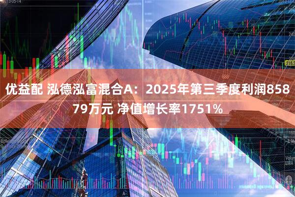 优益配 泓德泓富混合A：2025年第三季度利润85879万元 净值增长率1751%