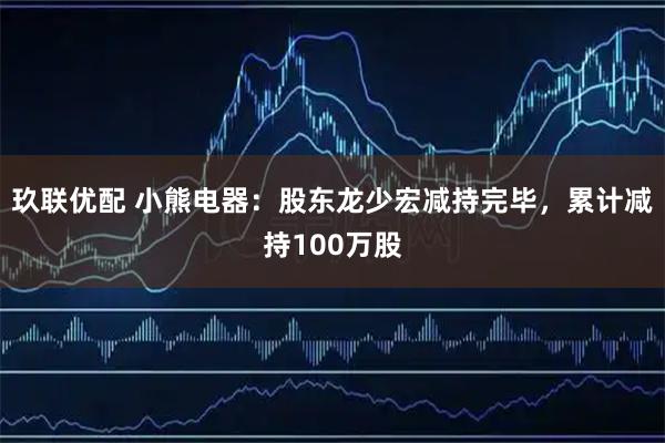 玖联优配 小熊电器：股东龙少宏减持完毕，累计减持100万股